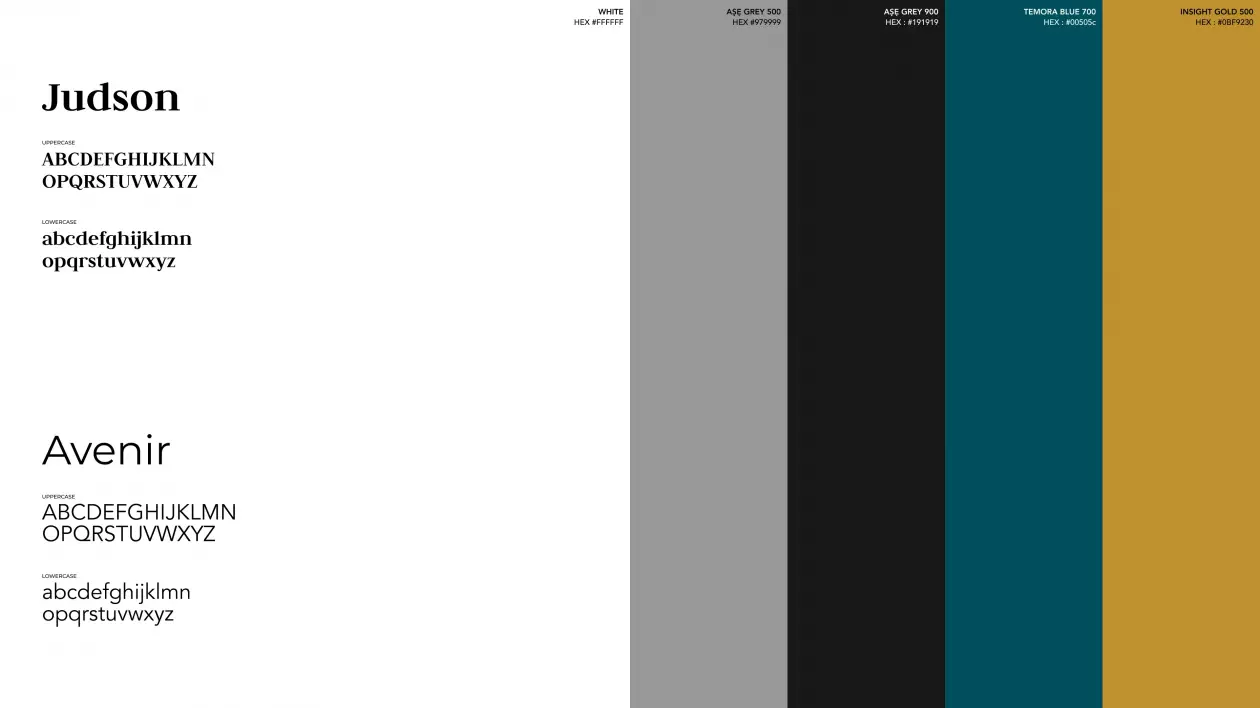 Temora Consulting 03 - color chart